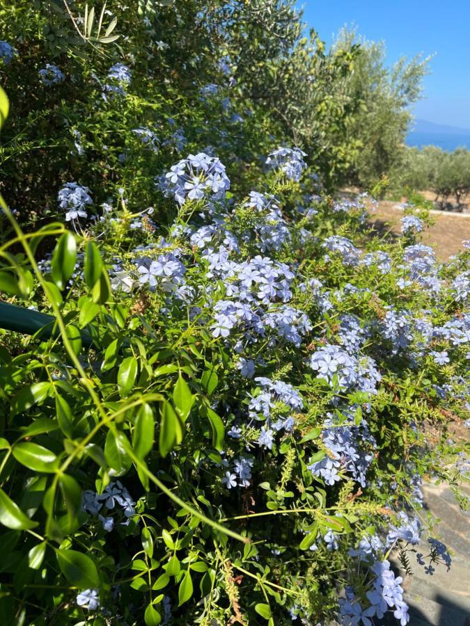 Villa Pefnos อายิโอสนิโกลาโอส ภายนอก รูปภาพ
